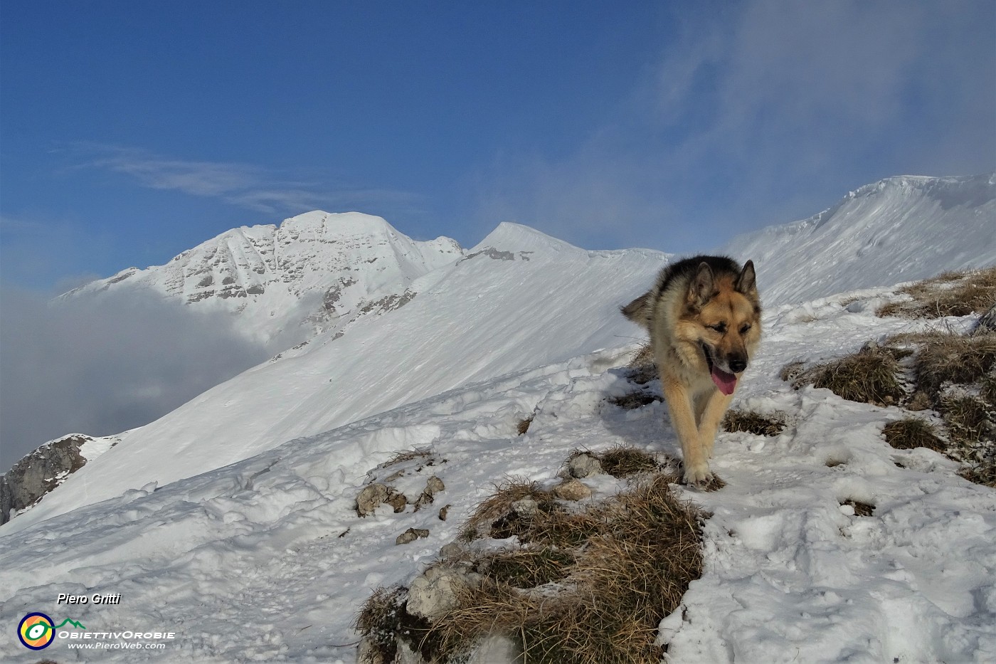 39 Dori rientra dall'ispezione...con vista in cresta Grem e verso l'Arera.JPG